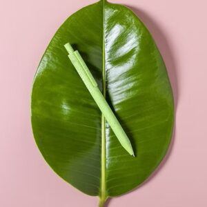 Harry Pen - Wheat Straw