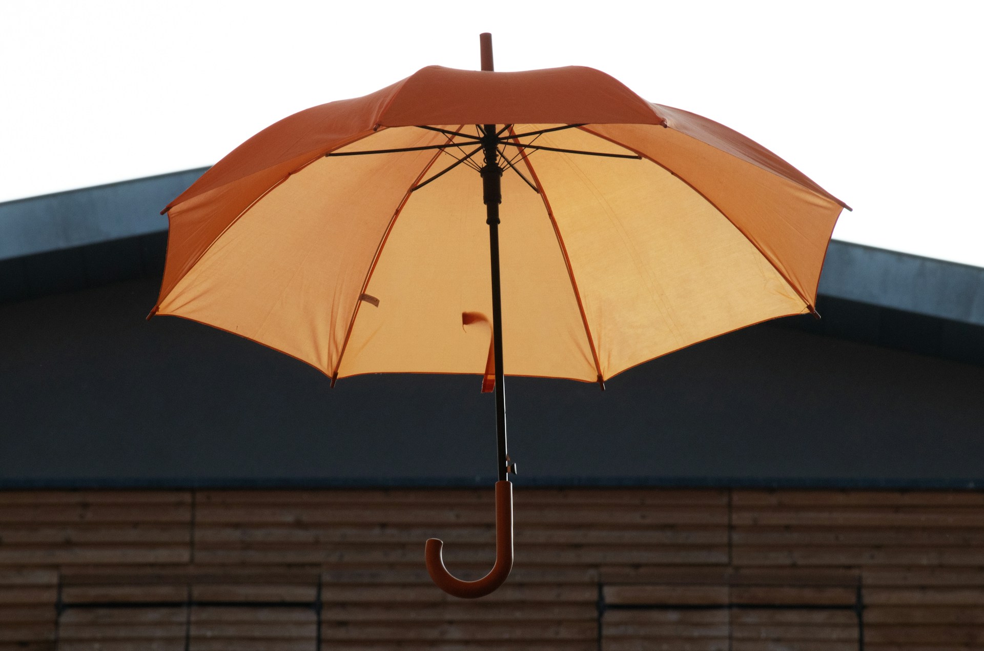 Umbrella Campaign