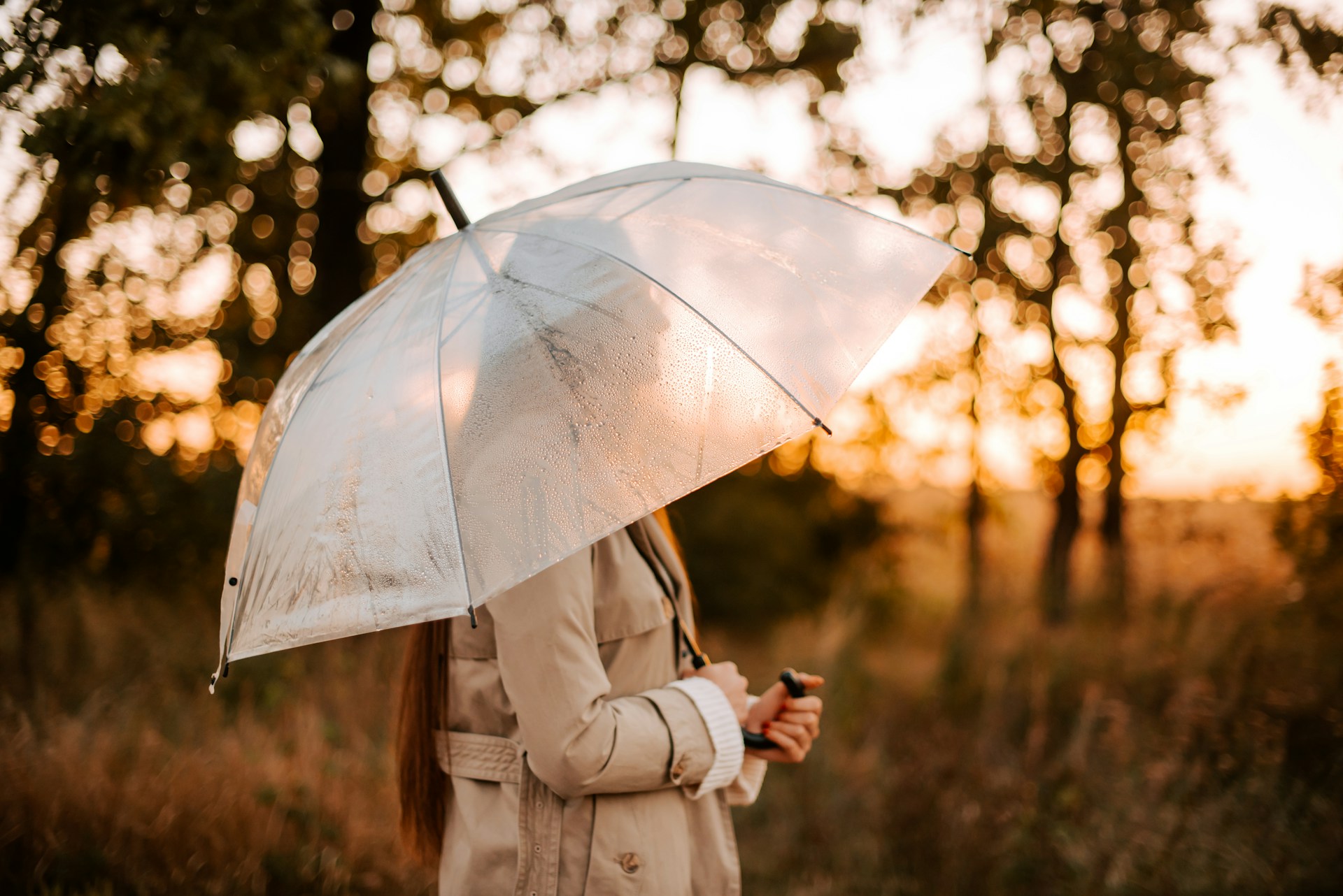Umbrella